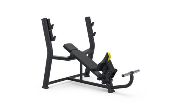Master Sport Bio Motion BML 04 Bench | For upward angle press