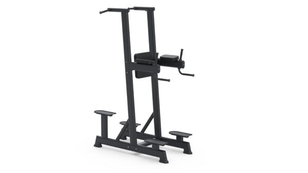 Dip Master Sport Bio Motion BML 13 | Freestanding Dip
