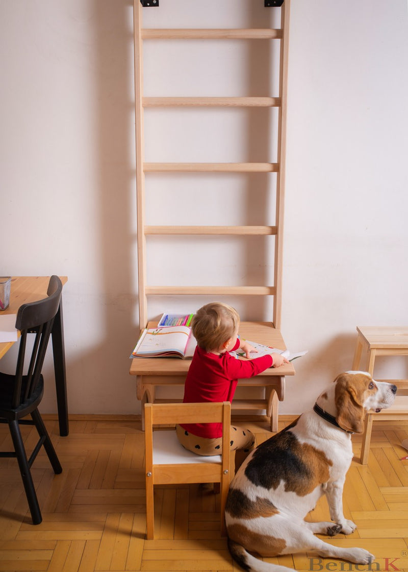 Desk - BenchTop BenchK BT204 ladder attachment - natural wood