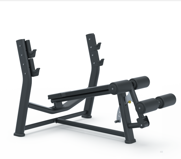 Master Sport Bio Motion BML 05 Bench | DOWNWARD PRESS