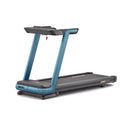 Běžecký pás Reebok FR30 FLOATRIDE zelený