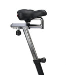 Assault Airbike Classic