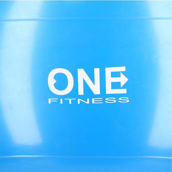 GB10 55CM BLUE GYM BALL 10 ONE FITNESS GYM BALL