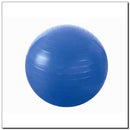 YB01 (PG 55CM) BLUE HMS GYMNASTIC BALL