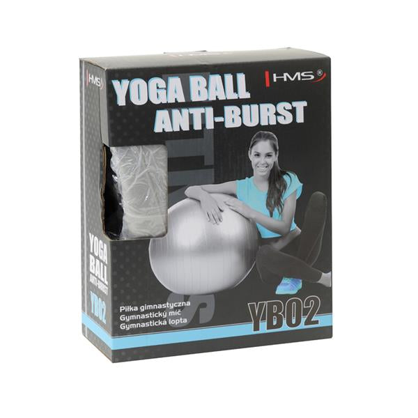 YB02 75CM GRAY ANTI-BURST GYMNASTIC BALL HMS