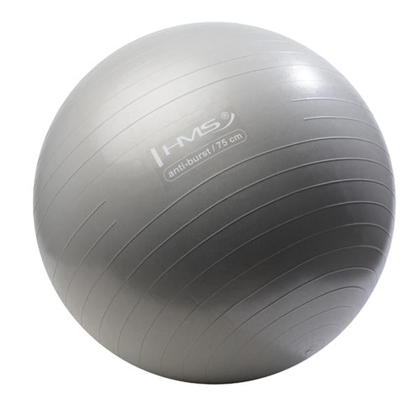 YB02 75CM GRAY ANTI-BURST GYMNASTIC BALL HMS