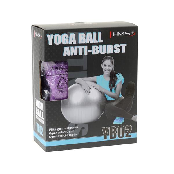 YB02 65CM PURPLE ANTI-BURST GYMNASTIC BALL HMS