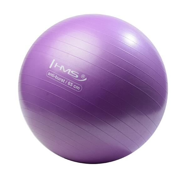 YB02 65CM PURPLE ANTI-BURST GYMNASTIC BALL HMS