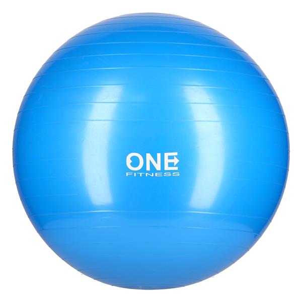 GB10 55CM BLUE GYM BALL 10 ONE FITNESS GYM BALL