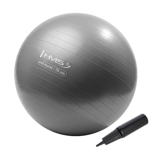 YB02 75CM GRAY ANTI-BURST GYMNASTIC BALL HMS