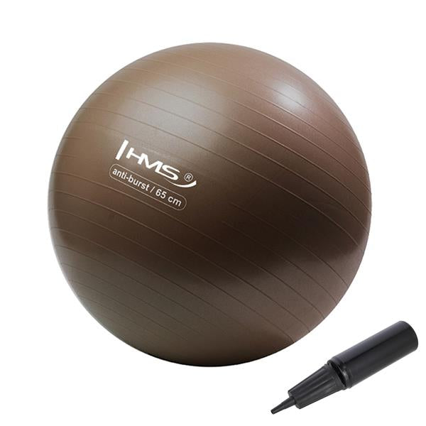 YB02 65CM GRIZZLY ANTI-BURST BROWN GYM BALL HMS