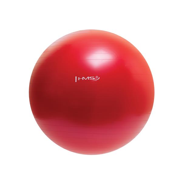 YB01 (PG 65CM) RED HMS GYMNASTIC BALL