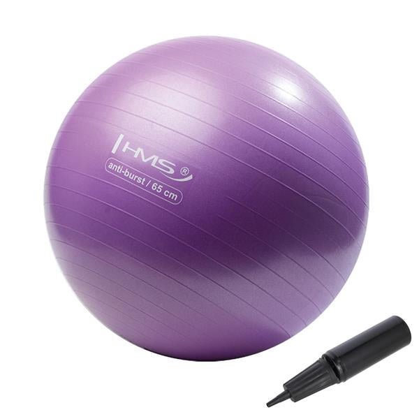 YB02 65CM PURPLE ANTI-BURST GYMNASTIC BALL HMS