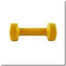 17023 VINYL CAST IRON WEIGHT 1.0 KG HMS