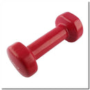 17023 VINYL CAST IRON WEIGHT 2.0 KG HMS