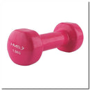 17023 VINYL CAST IRON WEIGHT 1.5 KG HMS