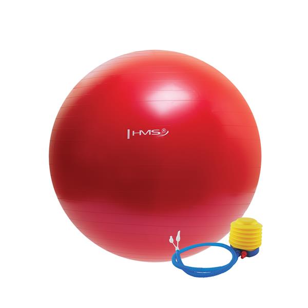 YB01 (PG 65CM) RED HMS GYMNASTIC BALL