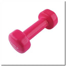 17023 VINYL CAST IRON WEIGHT 1.5 KG HMS