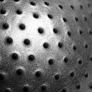 YB03 75CM ČERNÝ GYMNASTICKÝ MÍČ HMS