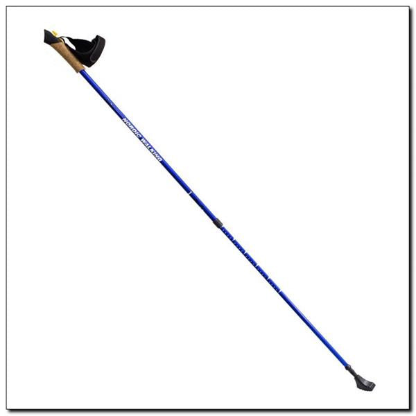 NW607 BLUE NORDIC WALKING POLES NILS