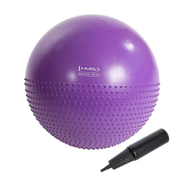 YB03 55CM PURPLE GYMNASTIC MASSAGE BALL HMS