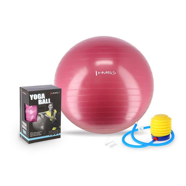 YB01 65CM PLUM GYMNASTIC BALL HMS