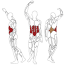 Abdominal / Lower back L610 BH Fitness Abdominal / Lower back exercise machine